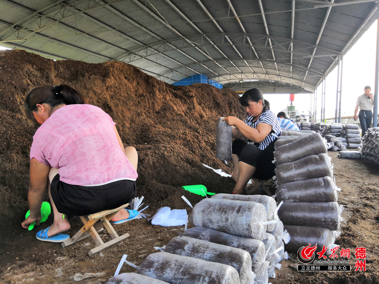 渡口驿乡人口_高阳县边渡口乡王家庄(2)