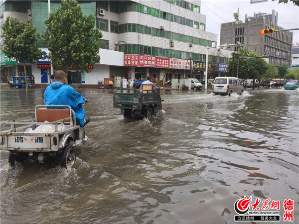 德州市区有多少人口_阳江市区有多少人口(2)