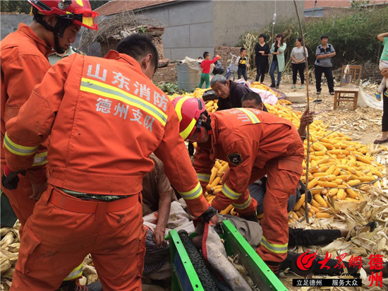 粮食不安全人口_程国强 加快实现国家粮食安全管理现代化(3)