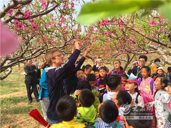 德州万亩桃园第九届赏花节开幕 引数万游客参观