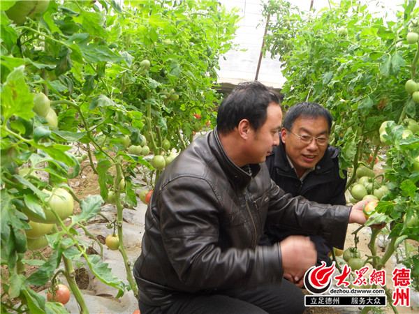 德州农村贫困人口_德州人口分布图(3)
