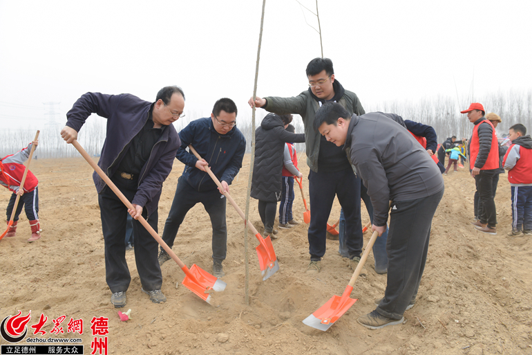 栽种希望!大众网2000德州网友齐植树 百亩荒地