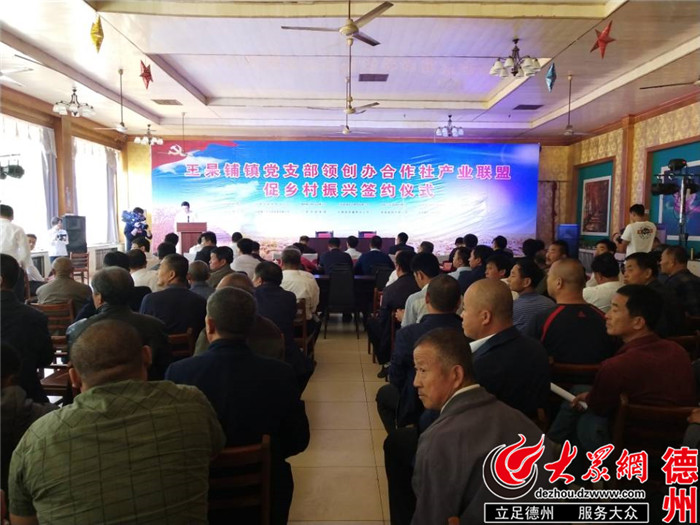 平原县党支部领创办合作社引来13家企业集体
