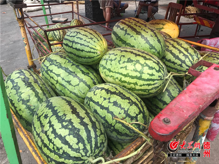 西瓜集中上市价格持续走低 德州一批发商每日赔近千元