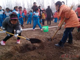 171329hoyn00ozha10a61e.jpg